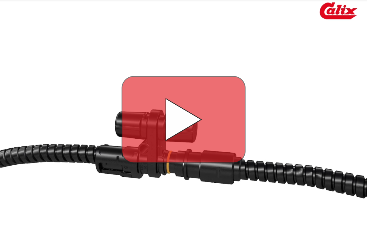 Anwendungsanimation Calix Verteilerst�ck